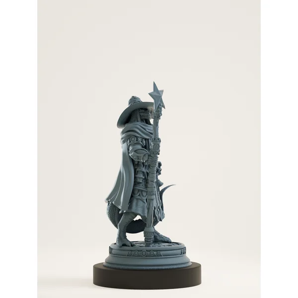 Sorcier draconien d’argent