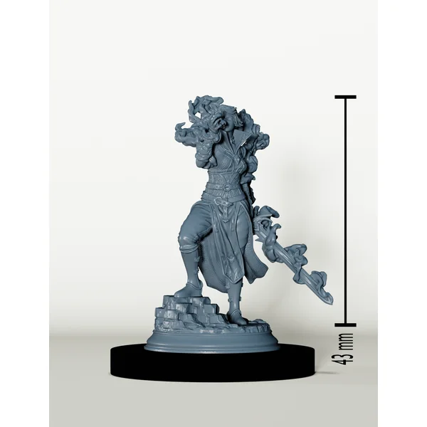Sorcière Hexblade