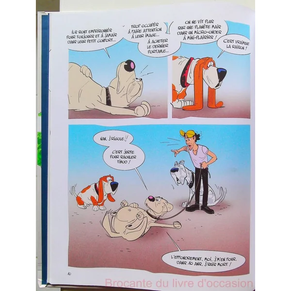 Tibod Dog sitter