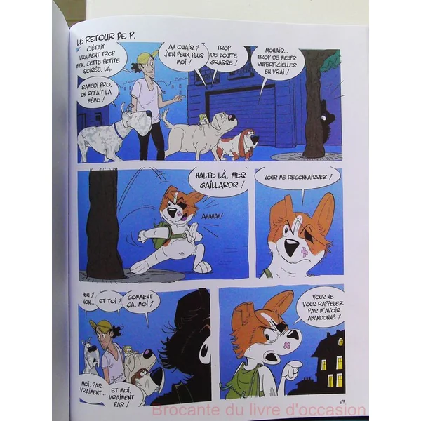Tibod Dog sitter