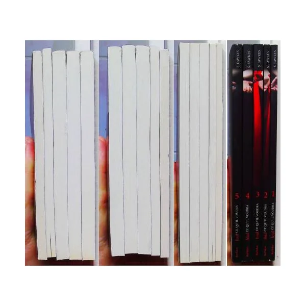 Tout ce qu'il voudra Coffret 5 volumes