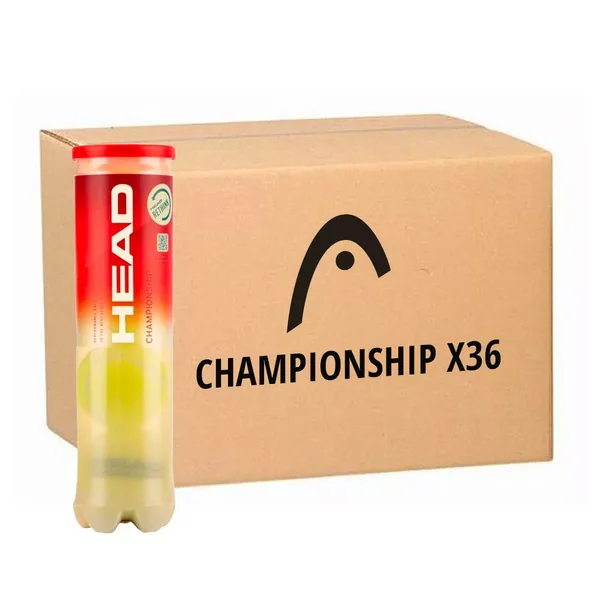 Tube de 4 Balles Head Championship