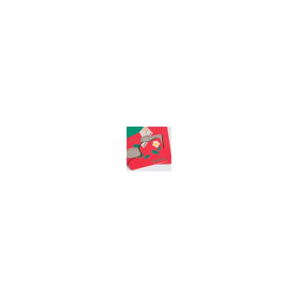 Turtle puzzle - 10 pieces