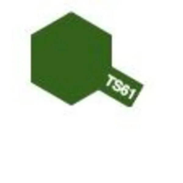 Vert OTAN (NATO Green )