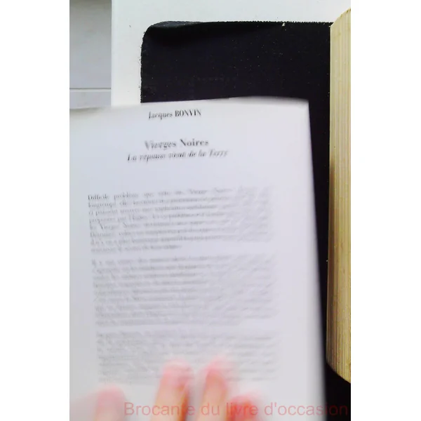 Vierges noires-
