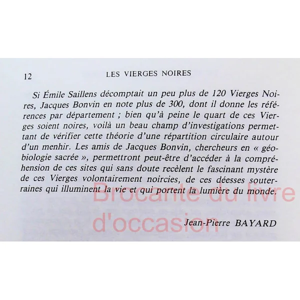 Vierges noires-