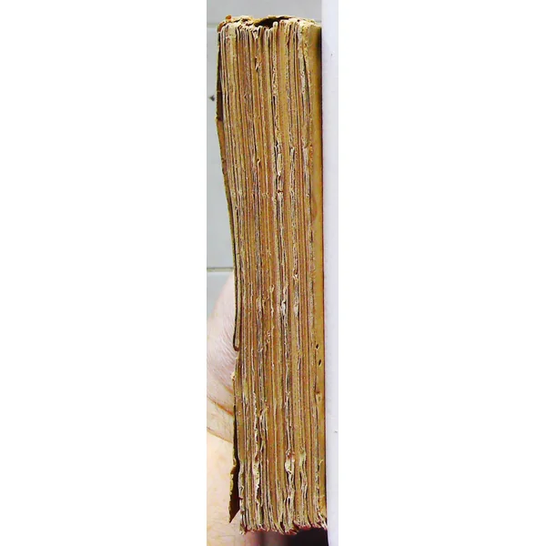 wagner en caricatures-